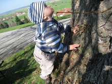 Der Baum ist soooo groß !!! Erstes Piknick 07.04.2009.