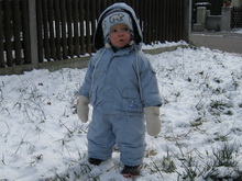 Nik im Schnee 23.11.2008