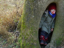 Nik hat sich im Baum versteckt Nov.2009